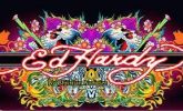 Blusas Ed Hardy, AberCrombie, Holister Entre Outras consulte